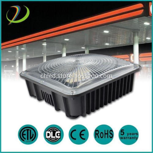 AC100-277V LED Canopy Light